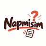 napmisim Logo